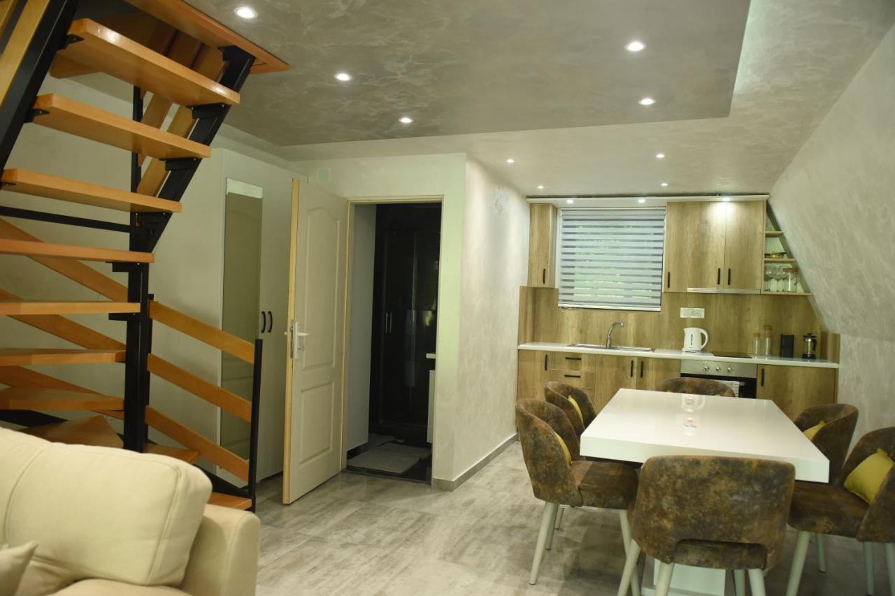 Villa Miletic *